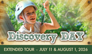Discovery Day